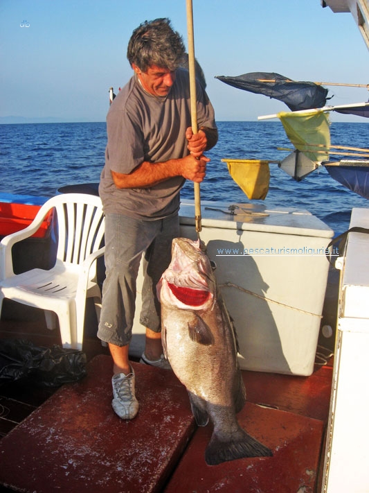 Pesca Turismo Ristorante Arenzano